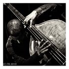 Tingvall Trio - Omar Rodriguez Calvo (Bass) 2