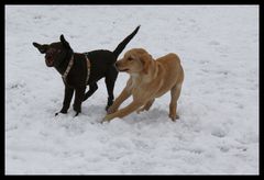 Tinka und Ihr neuer Freund.