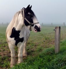 Tinker Ausblick