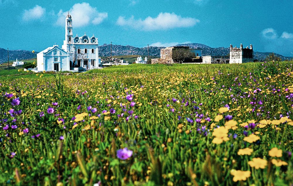 Tinos / Griechenland.      ...DSC_5753