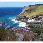 Tintagel