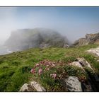 Tintagel Castle - Cornwall