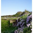 Tintagel Coast 3