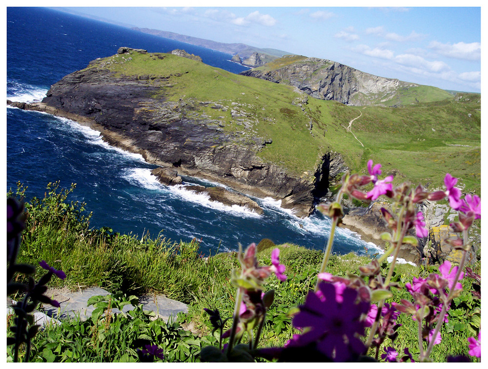 Tintagel Coast 4