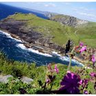 Tintagel Coast 4