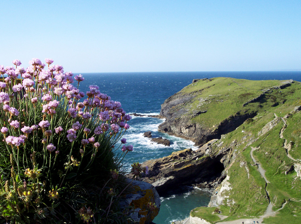 Tintagel Coast