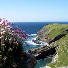 Tintagel Coast