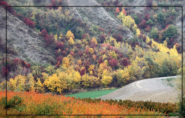 Tinte Forti dell'Autunno