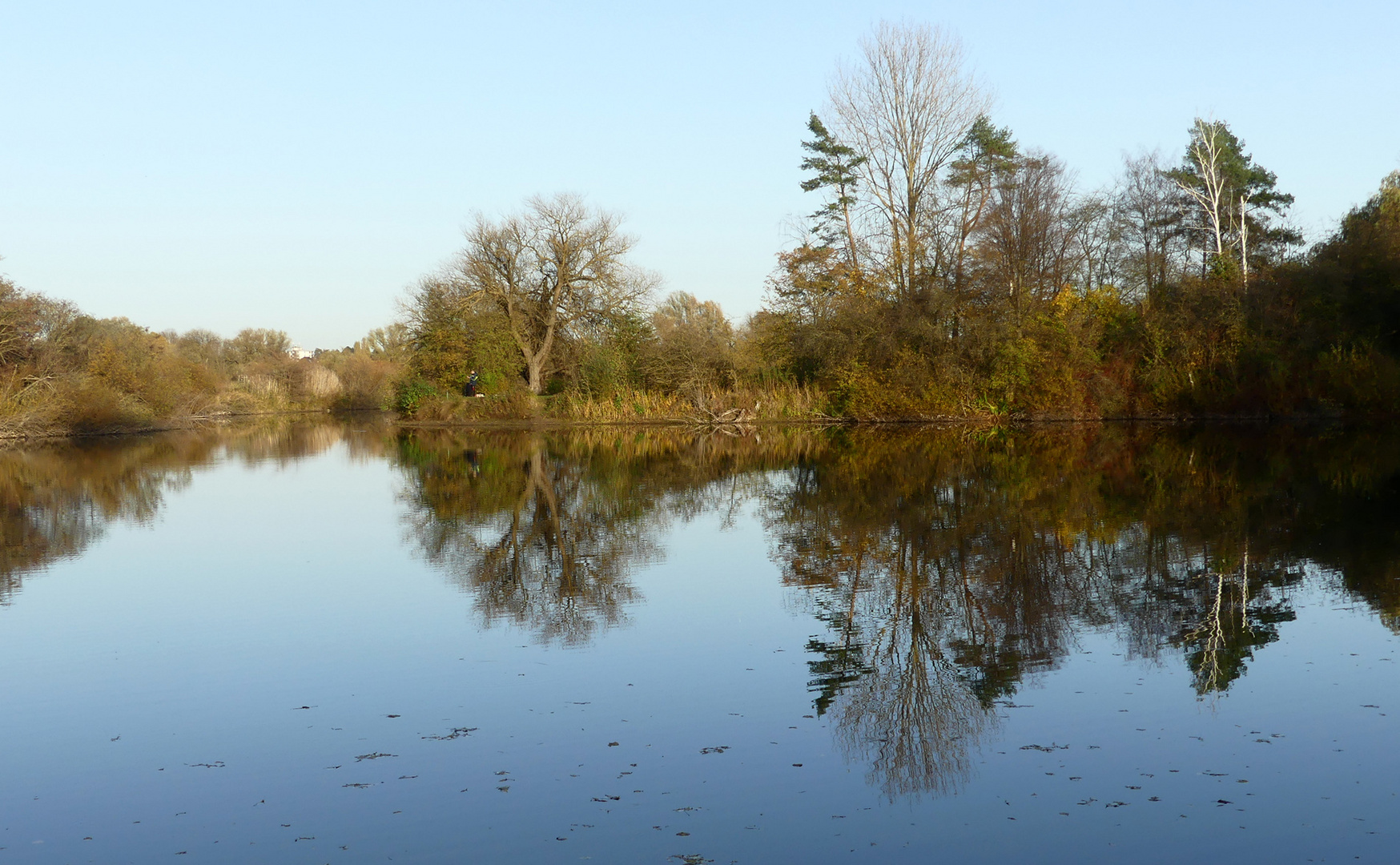 Tintenbild der Natur