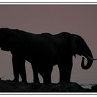 "Tintenklecks-Elefant"