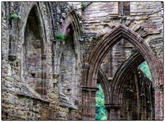 Tintern Abbey