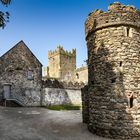 Tintern abbey