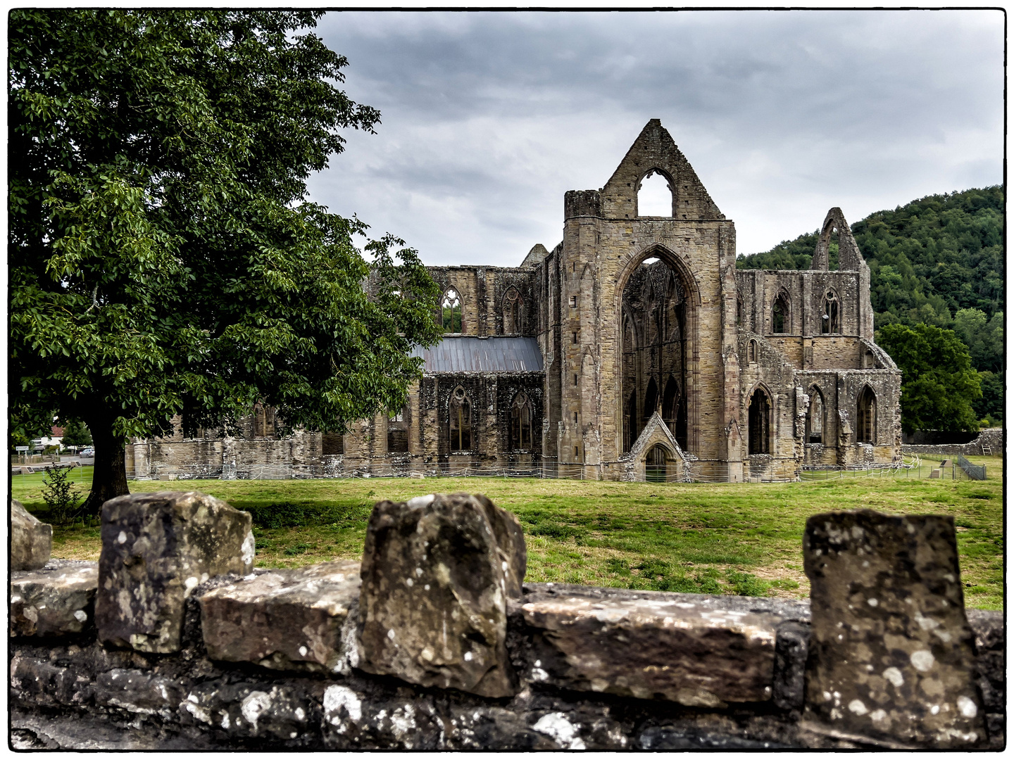 Tintern Abbey