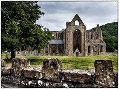 Tintern Abbey