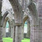 Tintern Abbey