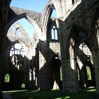 Tintern Abbey