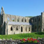 Tintern-Abbey in Wales