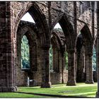 Tintern Abbey lichtdurchflutet