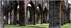 Tintern Abbey lichtdurchflutet