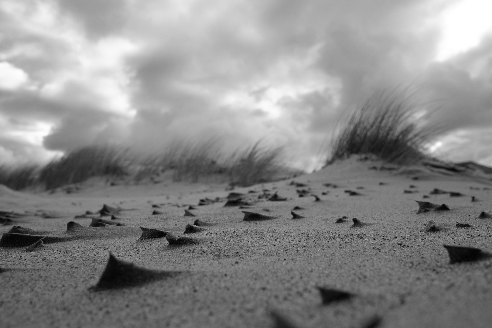 tiny abstract sand formations at Warnemünde beach, created by the wind
