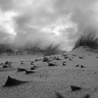 tiny abstract sand formations at Warnemünde beach, created by the wind