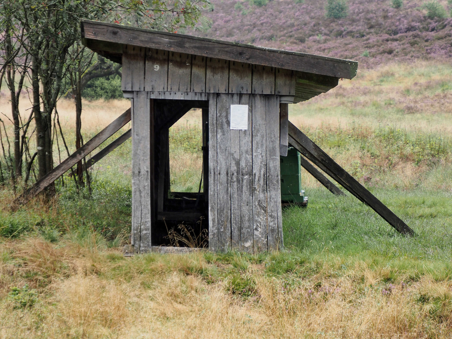 tiny house