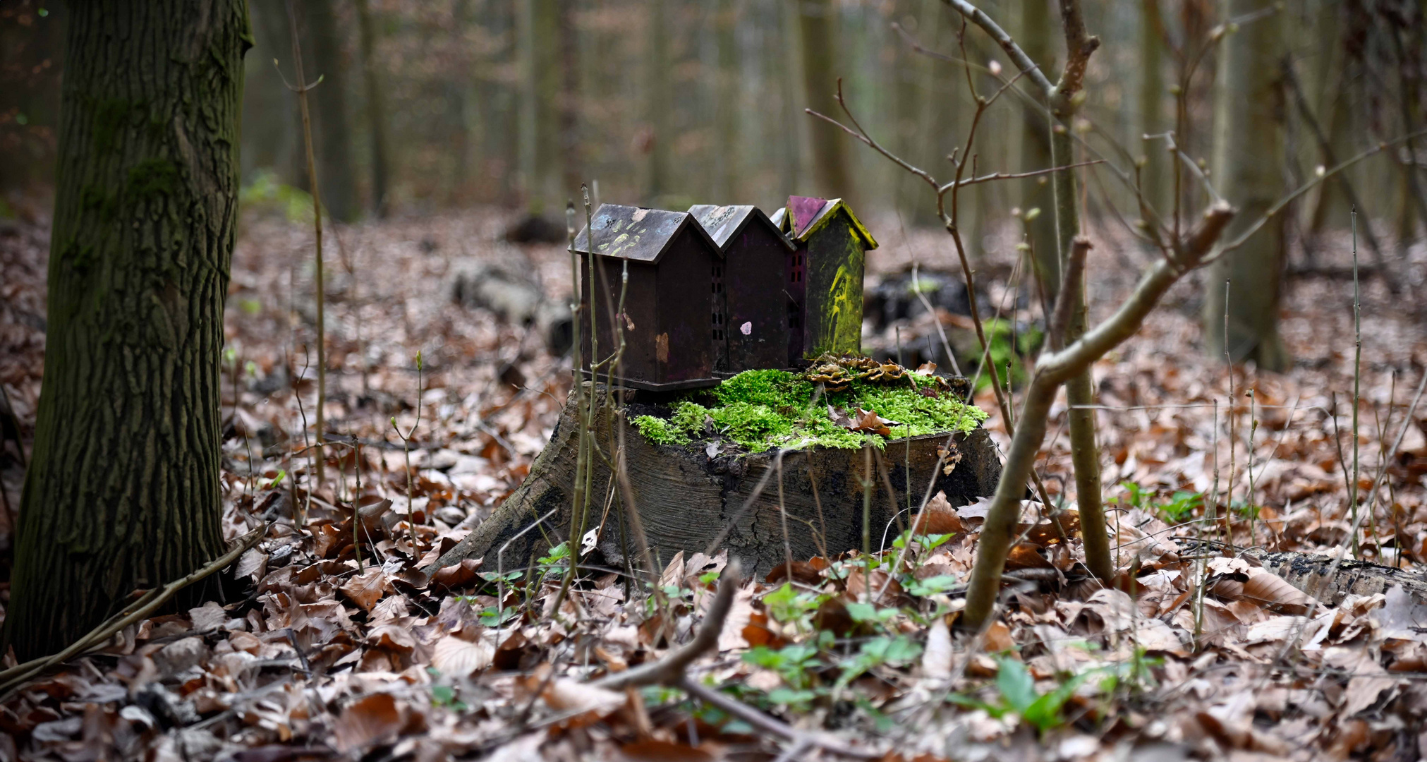 Tiny House im Wald