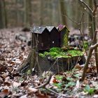 Tiny House im Wald