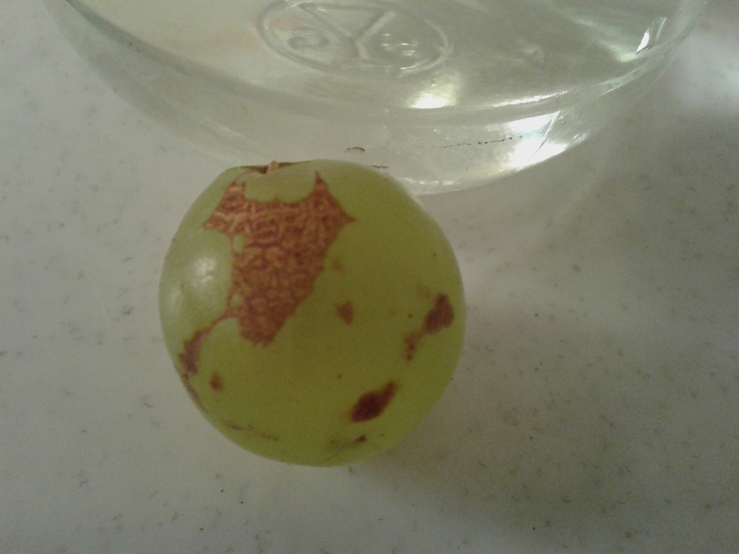 tiny map on grape!!