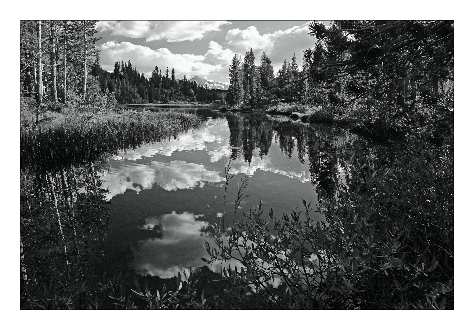 Tioga Lake # 1