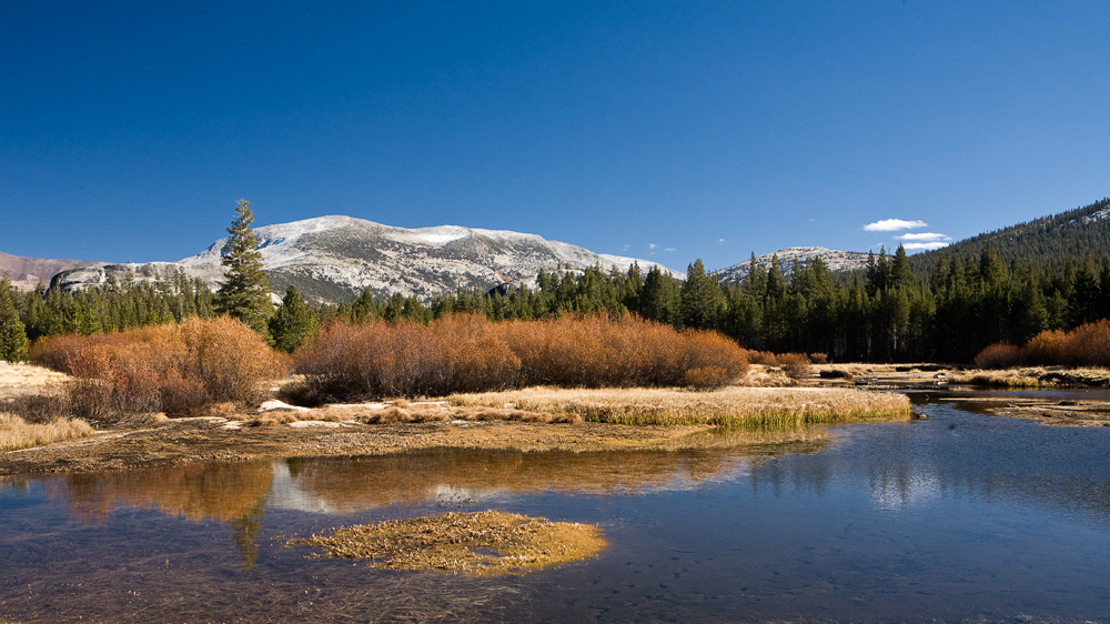 Tioga Pass