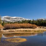 Tioga Pass