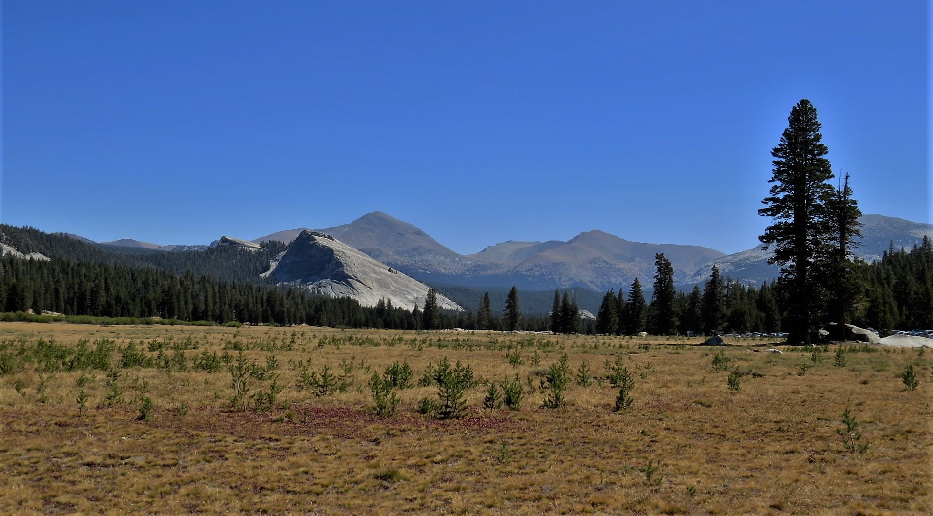 Tioga pass 3000m