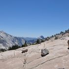 Tioga Pass