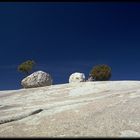 Tioga Pass