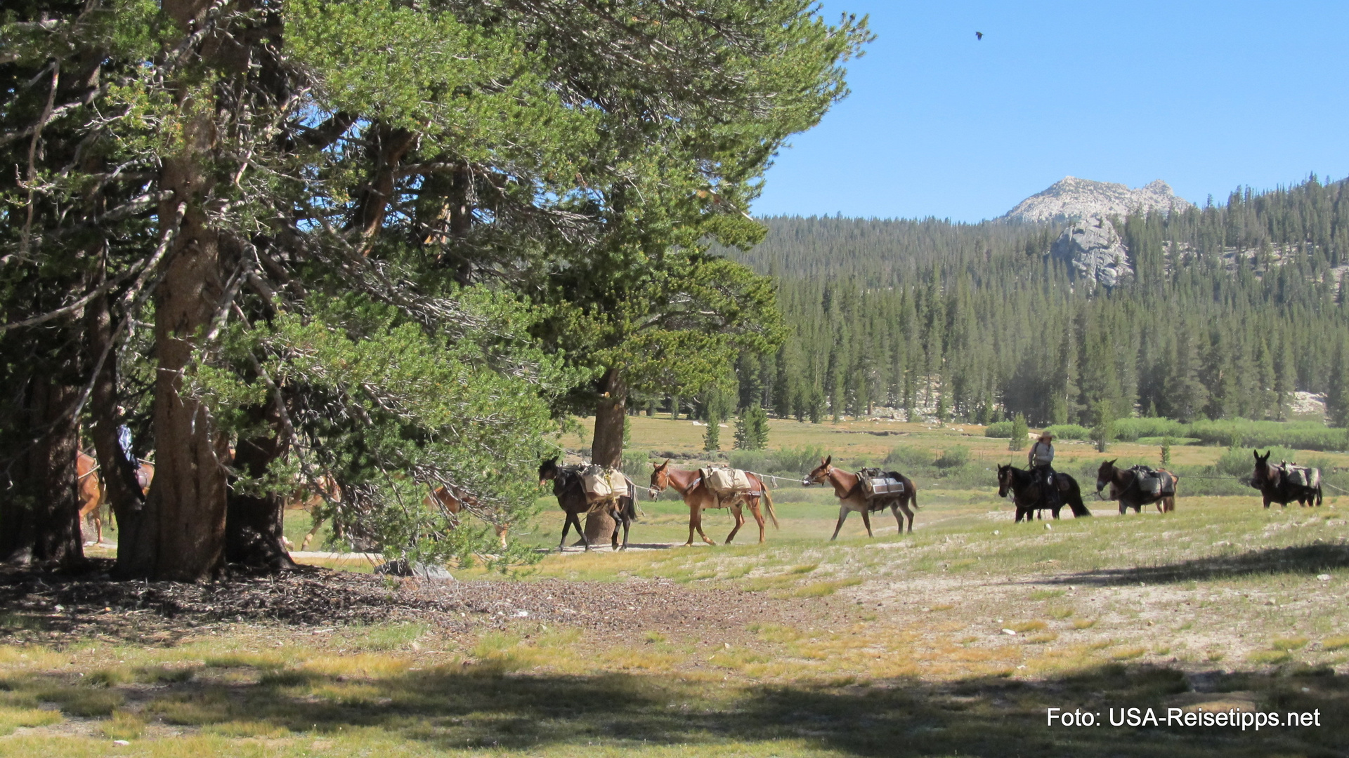 Tioga Pass