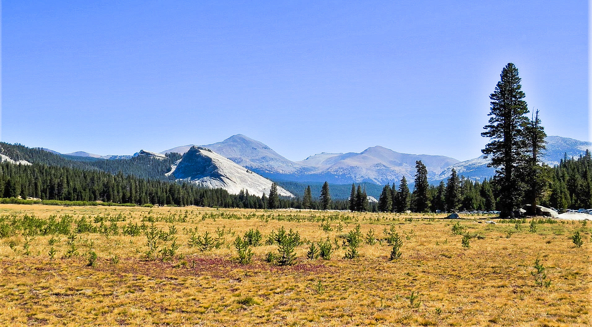 Tioga pass California 