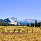 Tioga pass California 