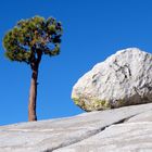 Tioga Pass Kalifornien 2012