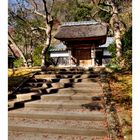 Tip of the stone steps