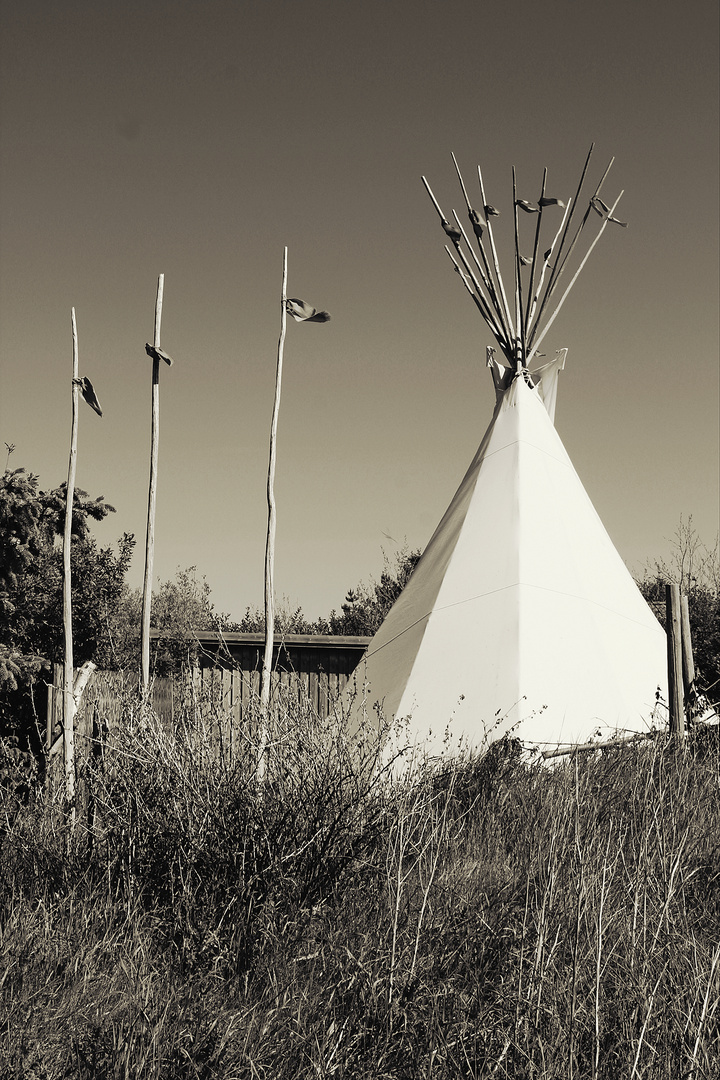 TiPi