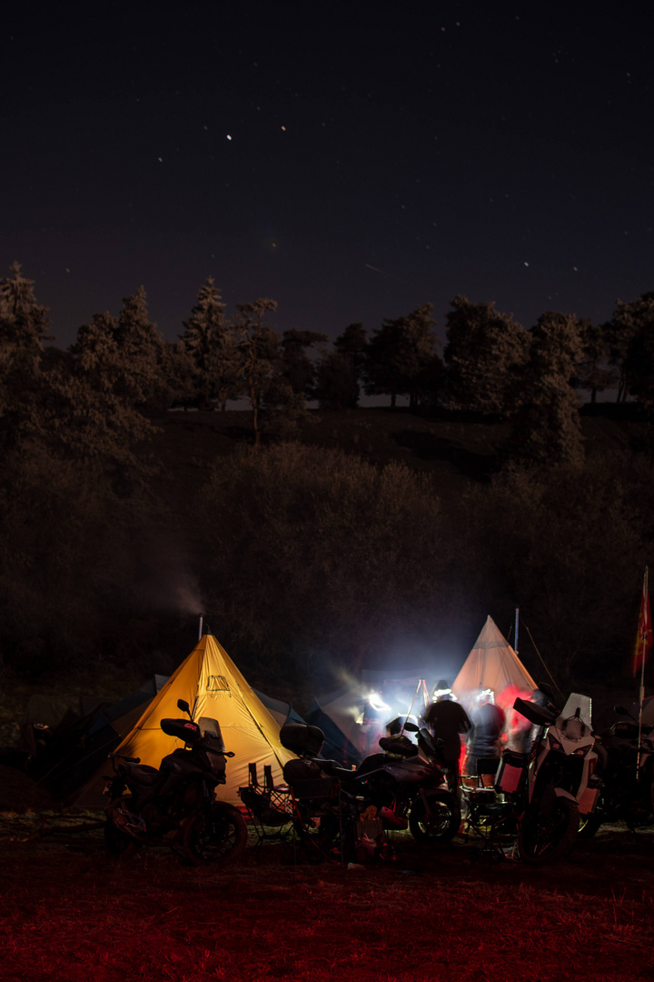 Tipi de voyageurs modernes