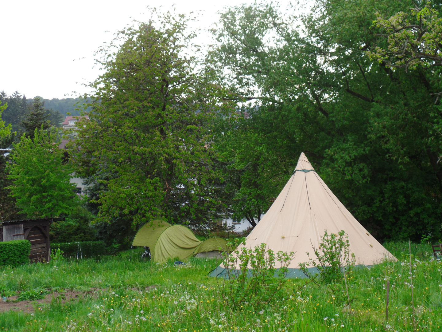 TIPI 