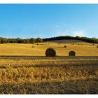 tipica campagna toscana