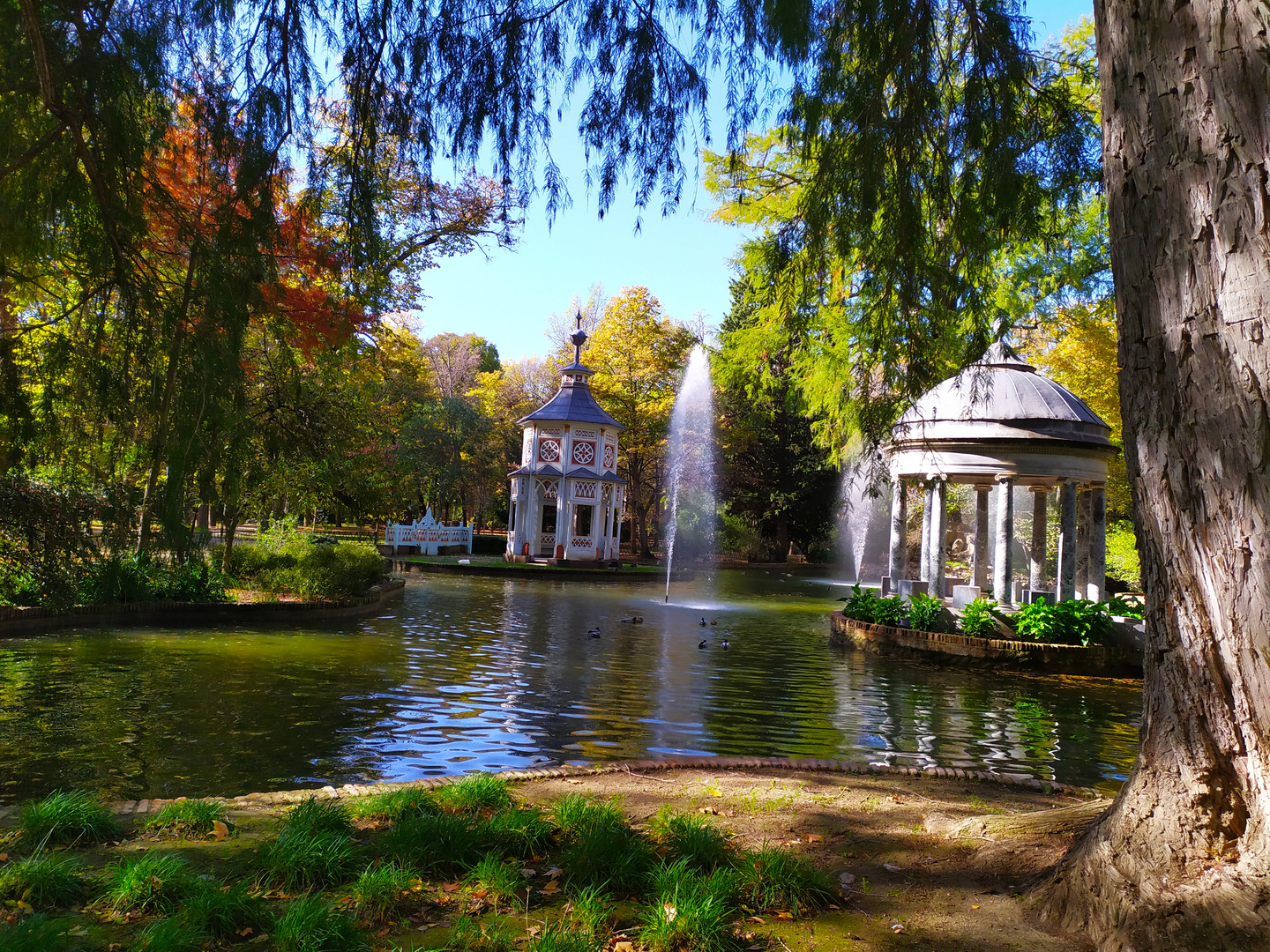 Típica de Aranjuez