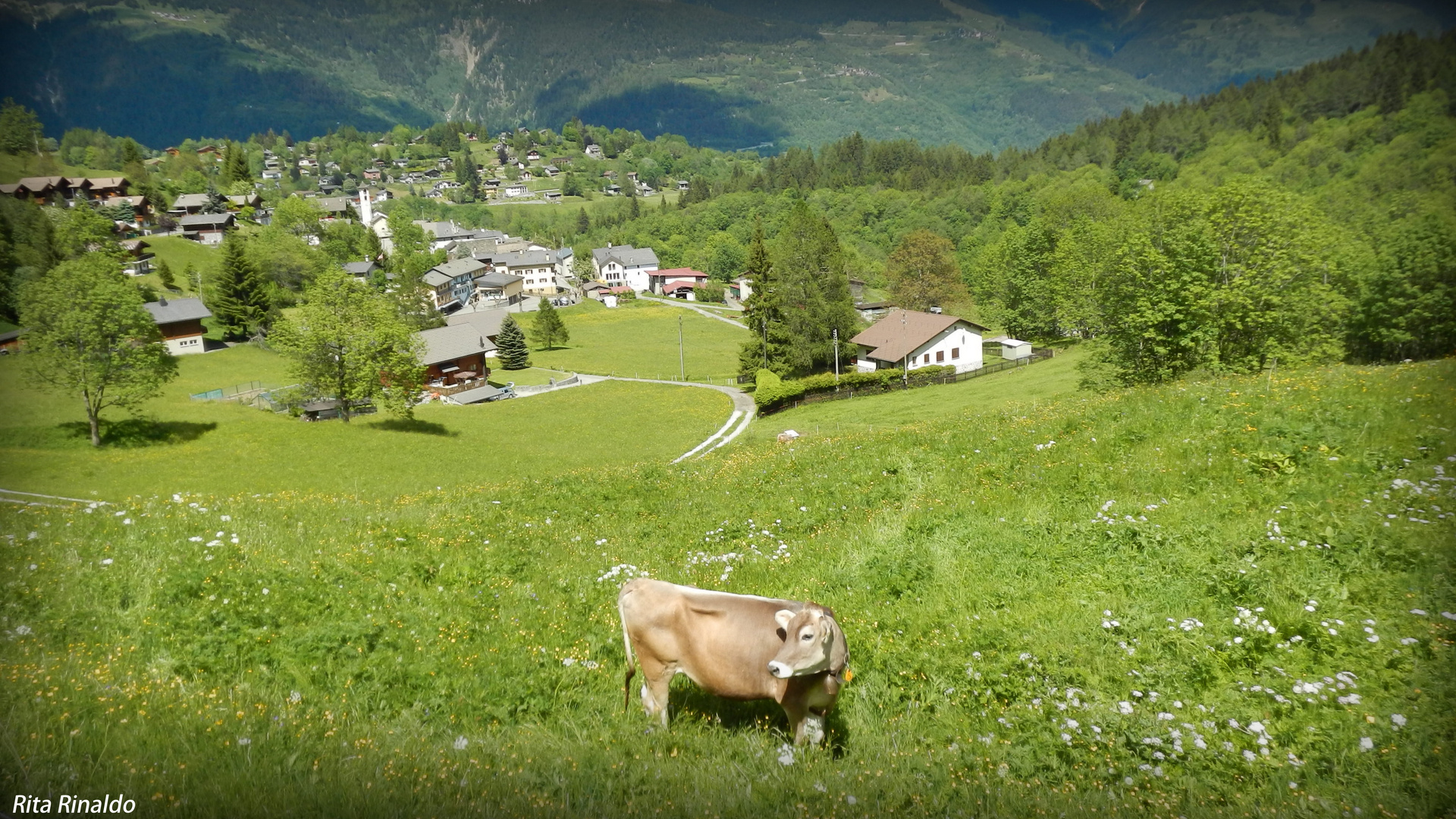 tipico paesaggio alpino!!!!