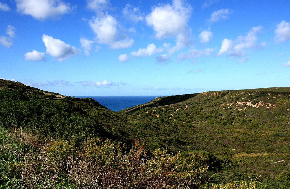 Tipico paesaggio marino della Sardegna