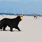 Tipo da spiaggia