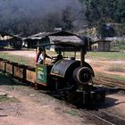 Tipong colliery, Assam