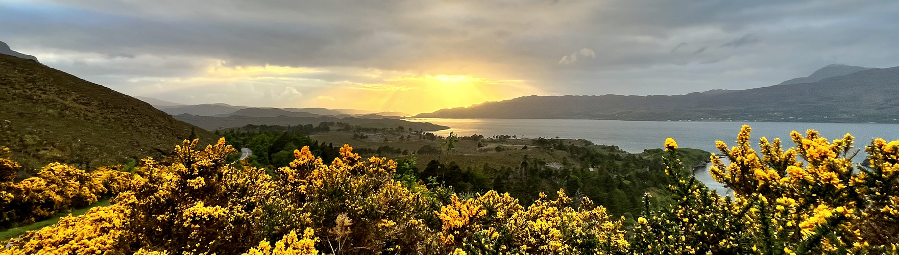 Tipp befolgt...Panoramaschnitt